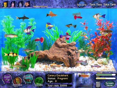 big fish games time management|20+ Games & Activities To Improve Your Time Management.
